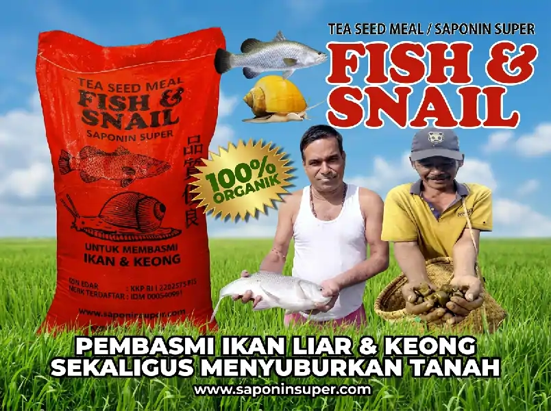 Distributor Saponin Super FISH & SNAIL, Saponin Super Pembasmi IKAN LIAR & HAMA KEONG secara Organik